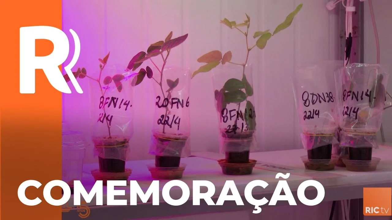 50 anos plantio direto