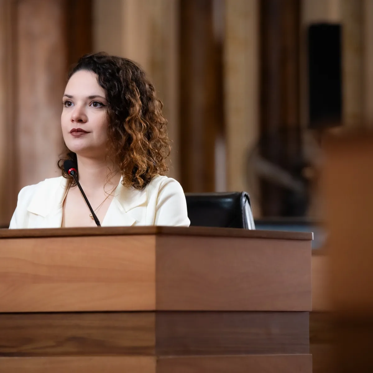 Vereadora faz denuncia contra blog após ataques machistas