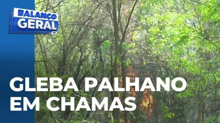 Londrina em chamas: Fogo fora de controle ameaça prédios na região da Gleba