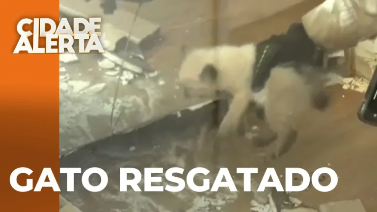 Bombeiros mobilizados em uma ocorrência no centro de Londrina