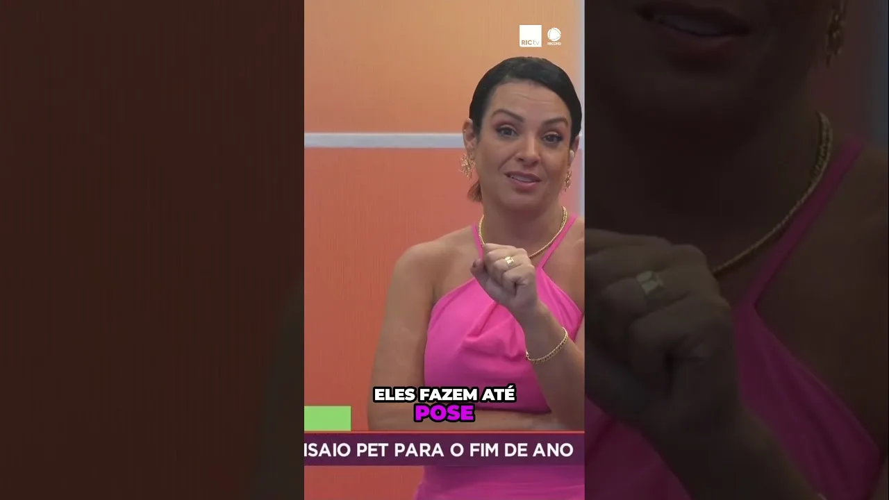 Ensaios fotográficos incríveis para fazer com seu pet nesse fim de ano