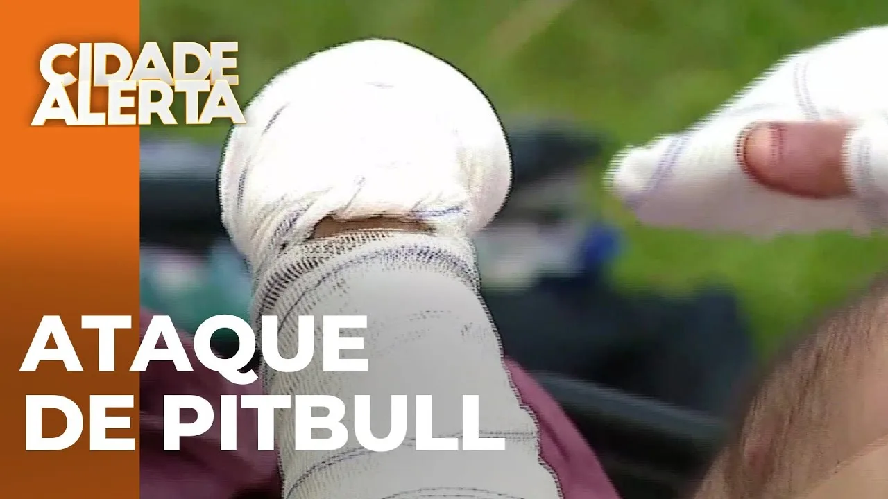Pitbull ataca e fere homem em Curitiba, deixando este em estado grave; cão é temido na região