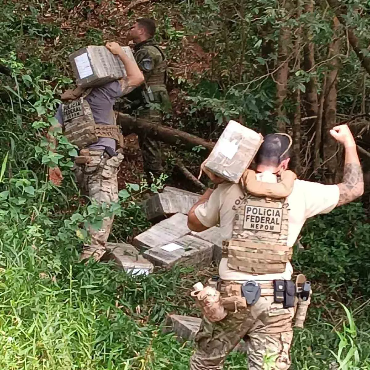 Policiais encontram 400 quilos de maconha abandonadas em matagal no PR