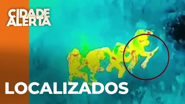 Polícia utiliza drones térmicos para encontrar sequestradores em mata