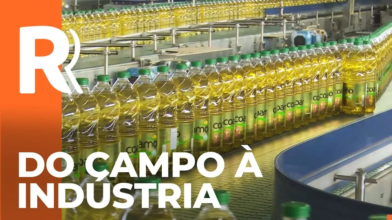 Entenda como é feita a transformação dos produtos que saem do campo em uma cooperativa