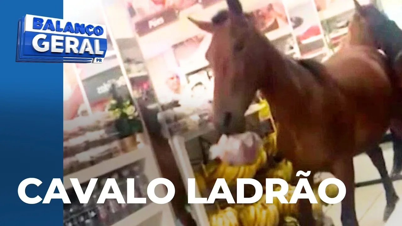 Cavalos invadem padaria para 'furtar' panetone; câmera registrou o ocorrido