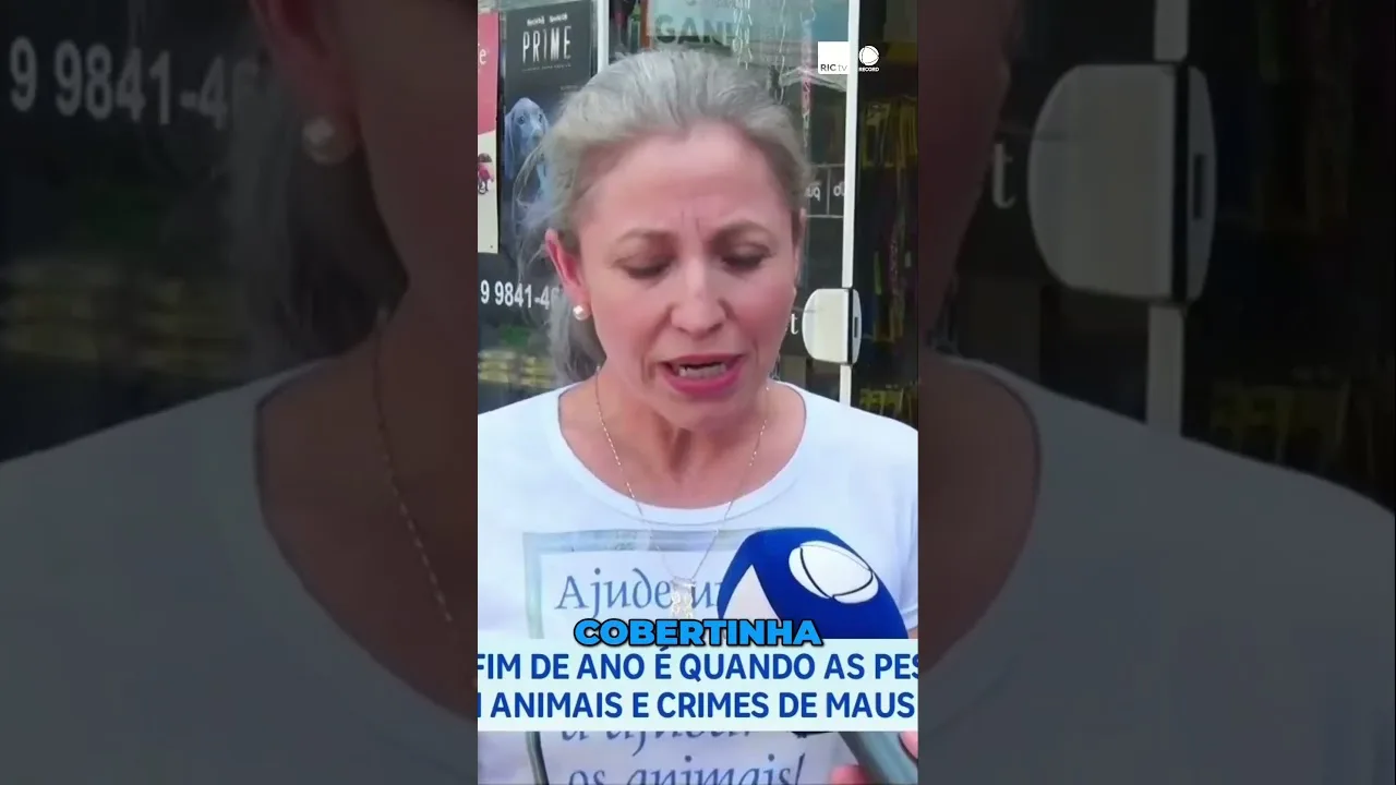 Fim do ano: A triste realidade do abandono e maus-tratos de animais