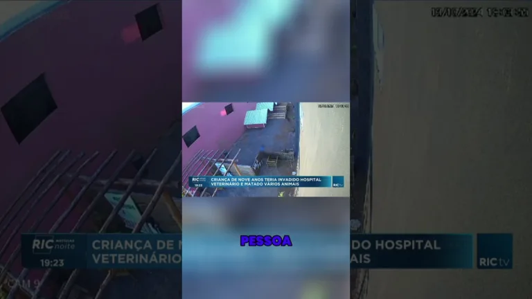 Criança de 9 anos, mata 23 animais após invadir hospital veterinário em Nova Fátima
