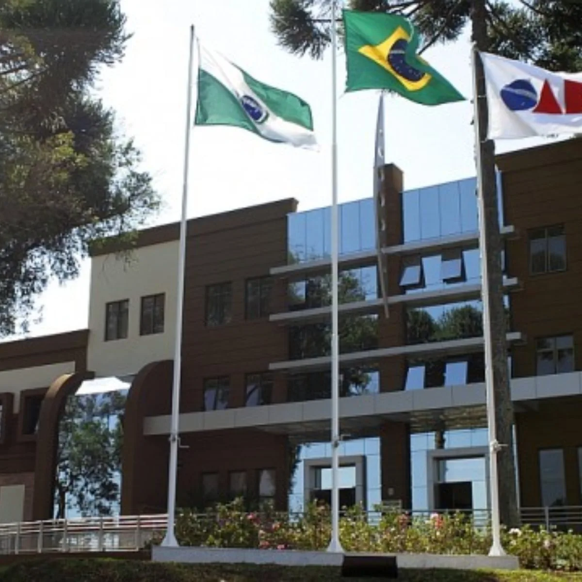 Candidatos a presidente da OAB-PR debatem na Jovem Pan nesta segunda-feira (11)