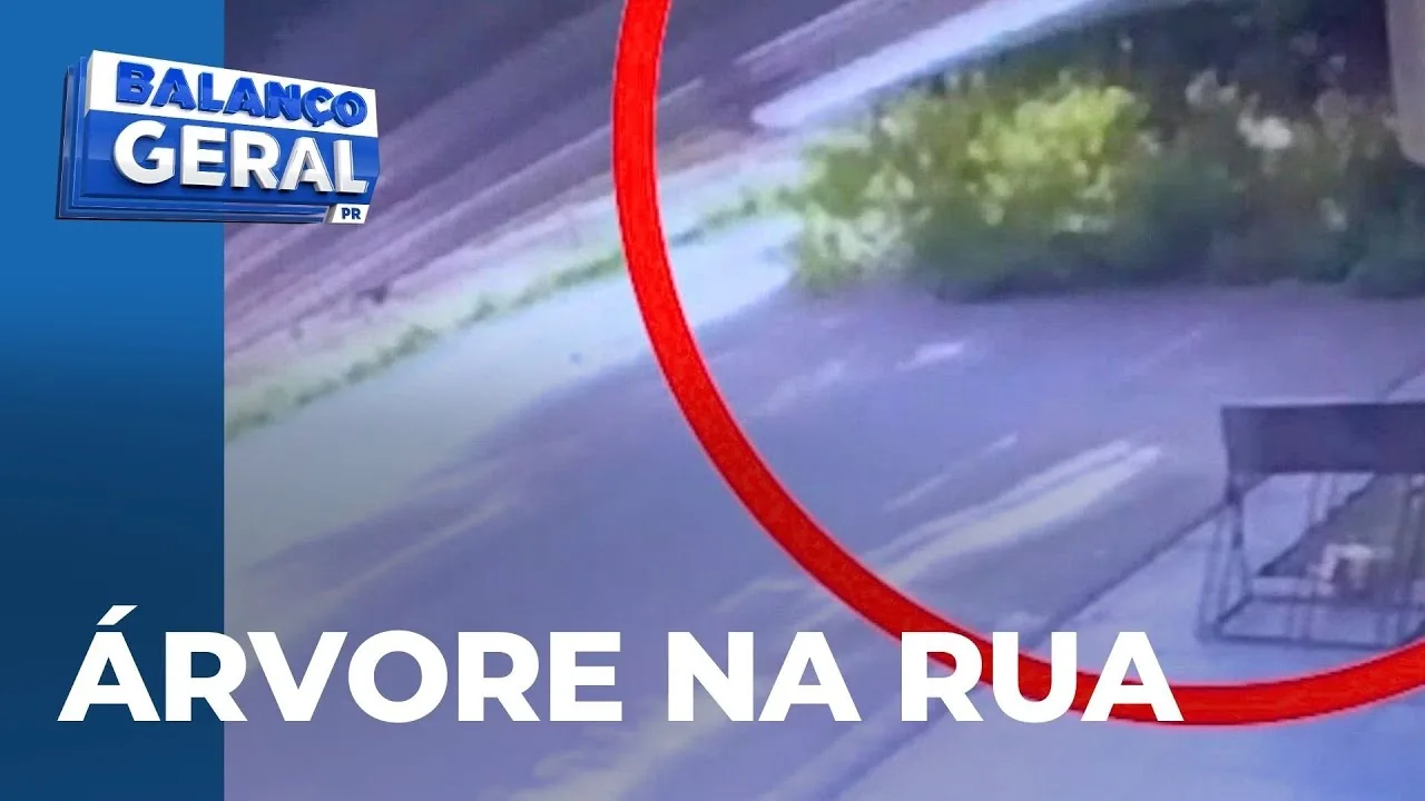 Câmera de segurança mostra momento em que árvore cai e tumultua o trânsito
