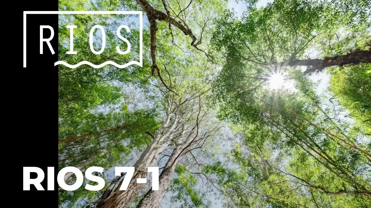 Especial Rios 7-1: Ilha do Baiano, espaço de descanso e lazer, marcado pela pesca esportiva