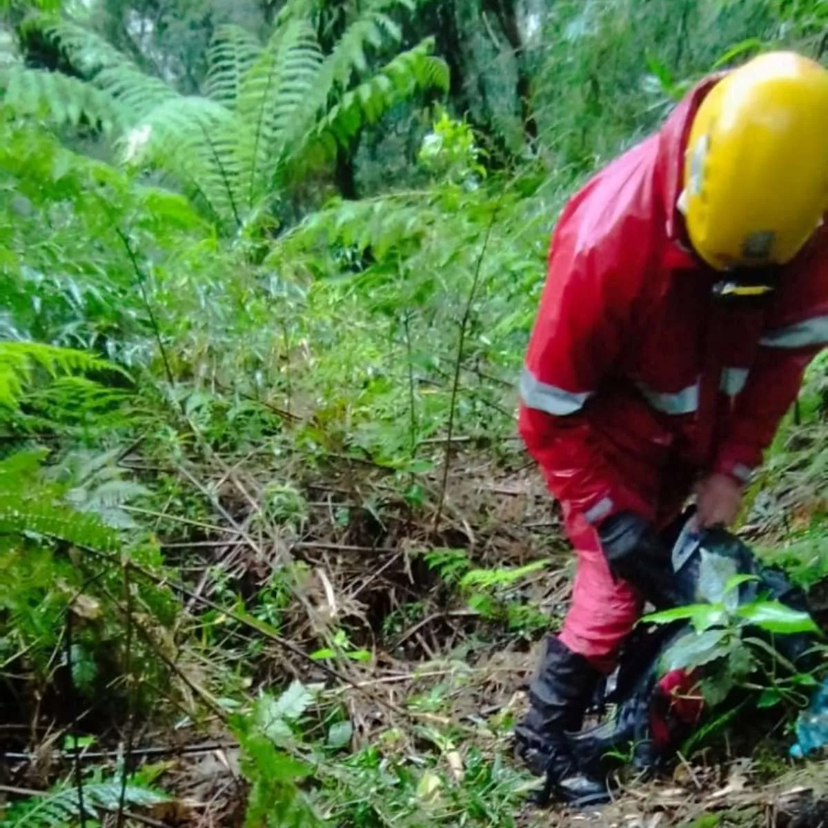 Serra do Ibitiraquire, em Campina Grande do Sul