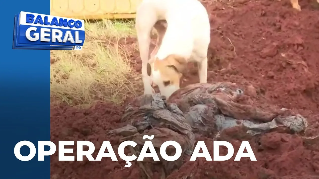 Operação ADA: Anne Moraes dá explicações sobre operação policial na entidade