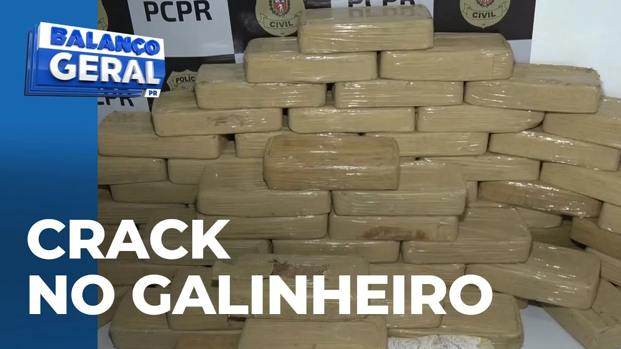 Crack no galinheiro: cão farejador encontra 70Kg de crack em propriedade rural de Mandaguaçu