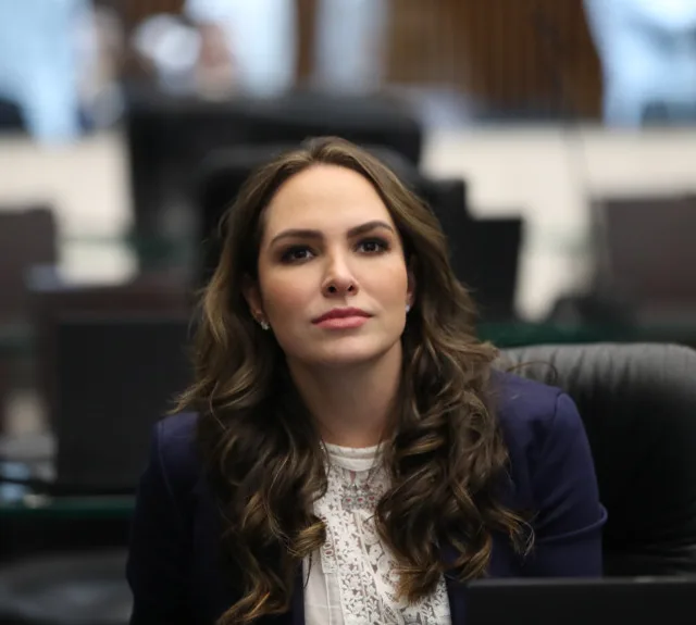 Carro da campanha de Maria Victoria é furtado em Curitiba