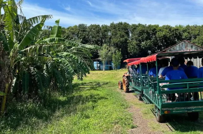 O objetivo da família é mostrar o dia a dia do produtor rural, ensinar sobre alimentação saudável e elevar a valorização do meio rural (Foto: Reprodução / Instagram @turismo.pedagogico.tamura)