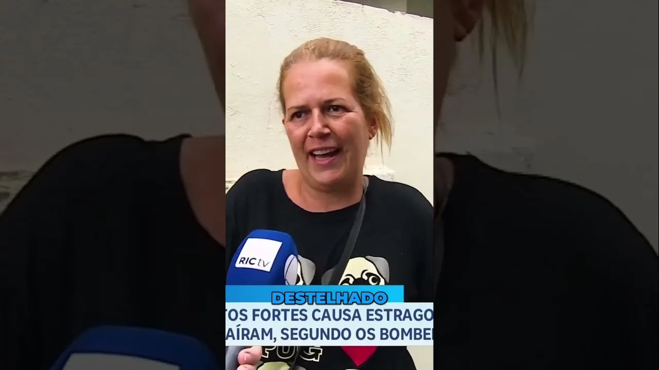 Temporal: chuva e ventos derrubam mais de 15 árvores; barracão de cooperativa é destruído