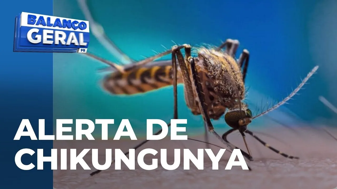 Explosão de casos: Chikungunya aumenta de 14 para 57 em apenas uma semana em Cascavel