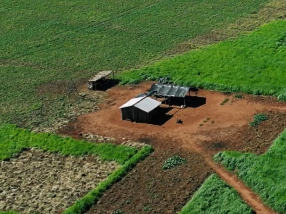 Conflito por terras no Paraná: agricultores denunciam invasões e violência