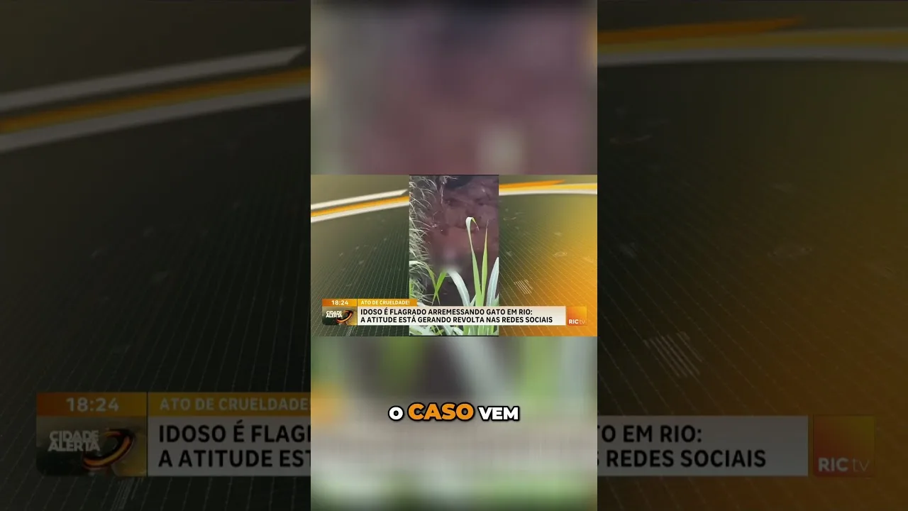 Idoso é detido após arremessar gato em rio; vídeo mostra o caso