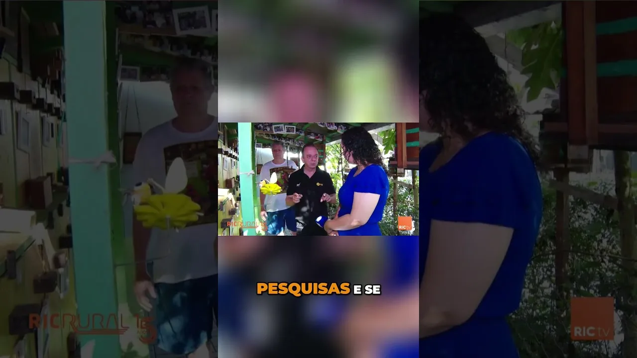 Proteção das abelhas em extinção #abelhas