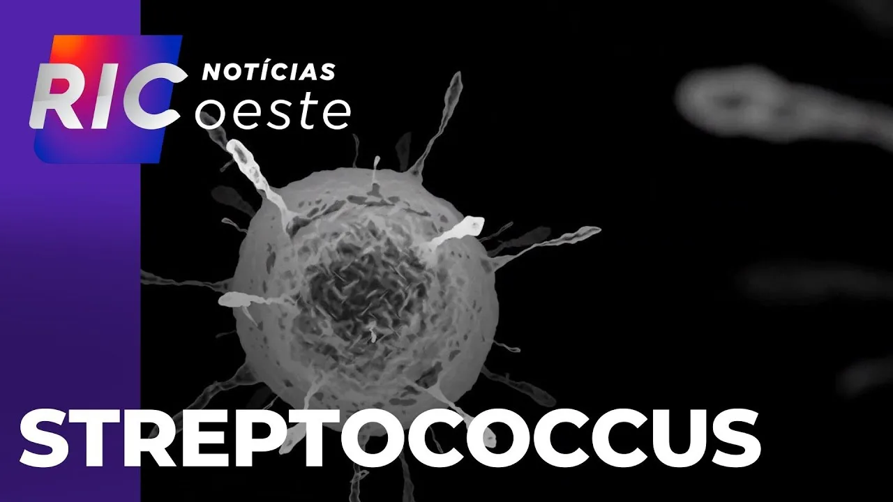 Bactéria Streptococcus: 5 mortes foram confirmadas em Cascavel