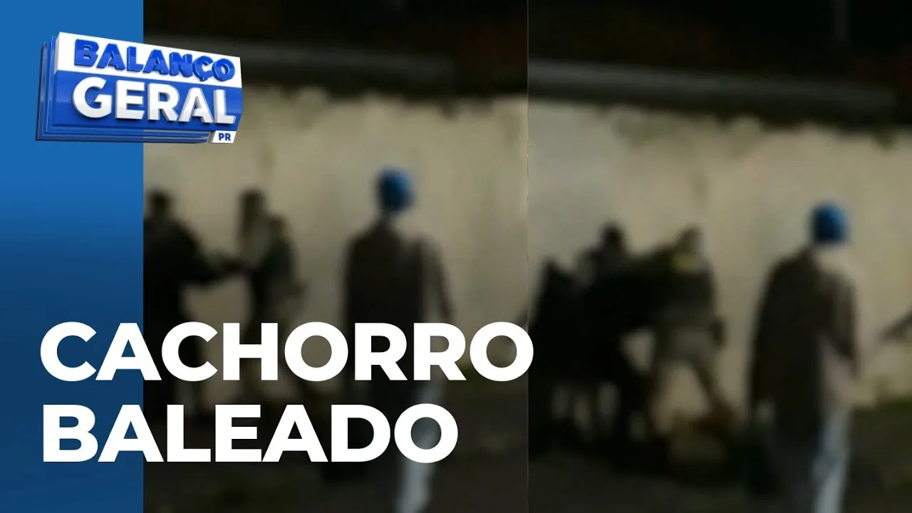 Policiais tentam imobilizar morador com força e ação termina em cachorro baleado e morto