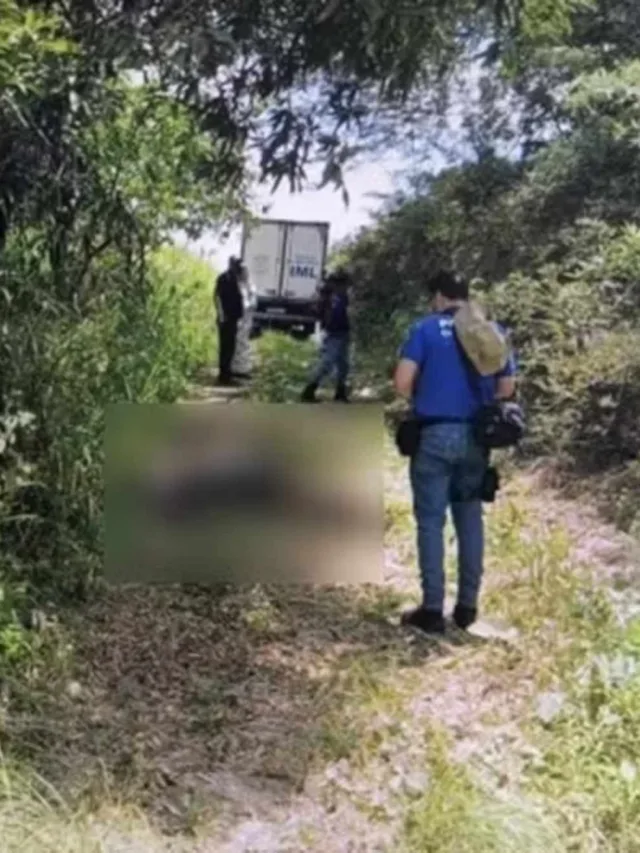 Amigos são sequestrados e encontrados mortos em propriedade rural