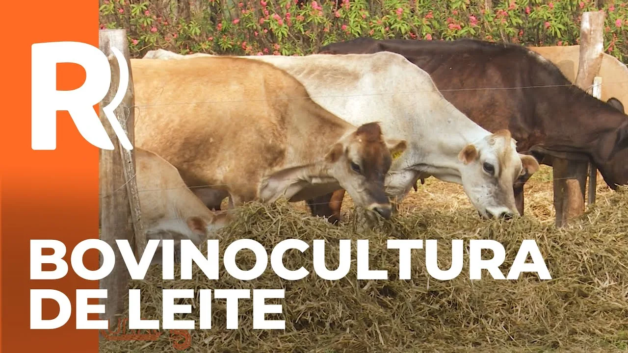 Quem foi a ganhadora na categoria Bovinocultura de Leite pequeno porte no prêmio Orgulho da Terra