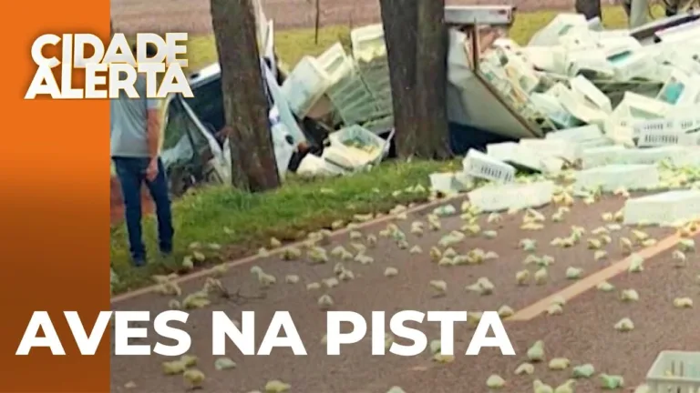 Caminhão com aves tomba na rodovia entre Palotina e Francisco Alves, na PR-182