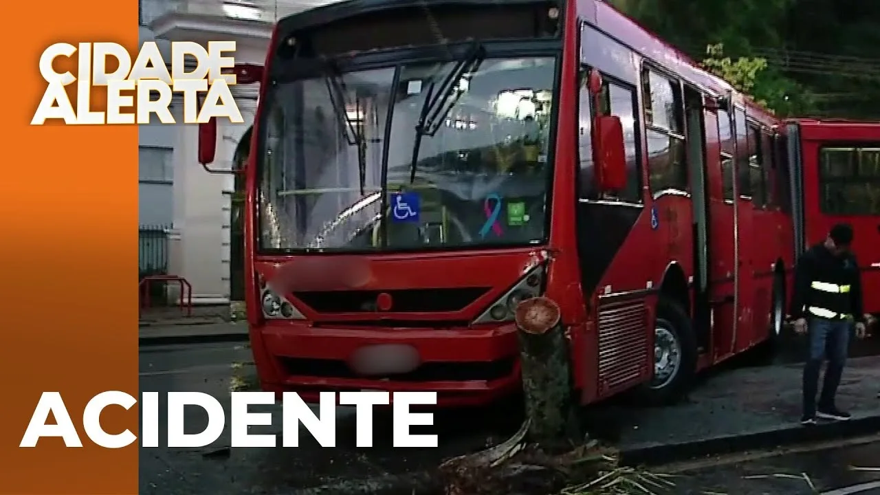 Acidente: Biarticulado bate em uma árvore e deixa uma pessoa ferida