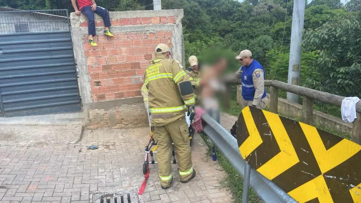 O animal não foi localizado