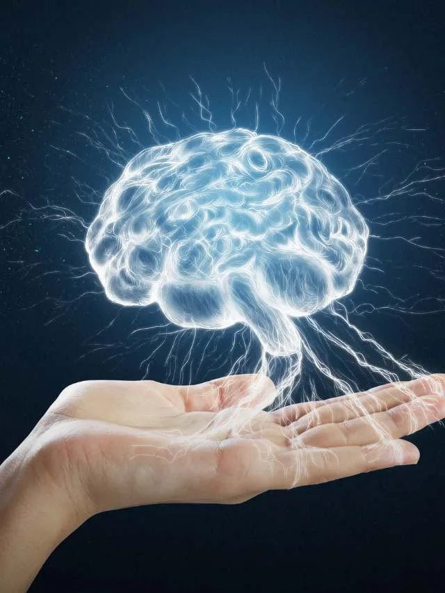 'Cérebro podre': entenda expressão do ano eleita por dicionário