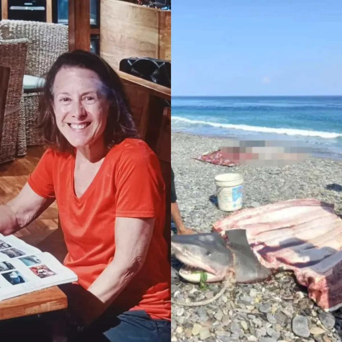 Ela desapareceu dia 26 de outubro