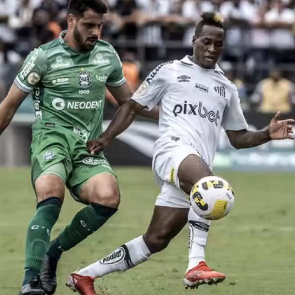 Coritiba x Santos: saiba onde assistir ao vivo