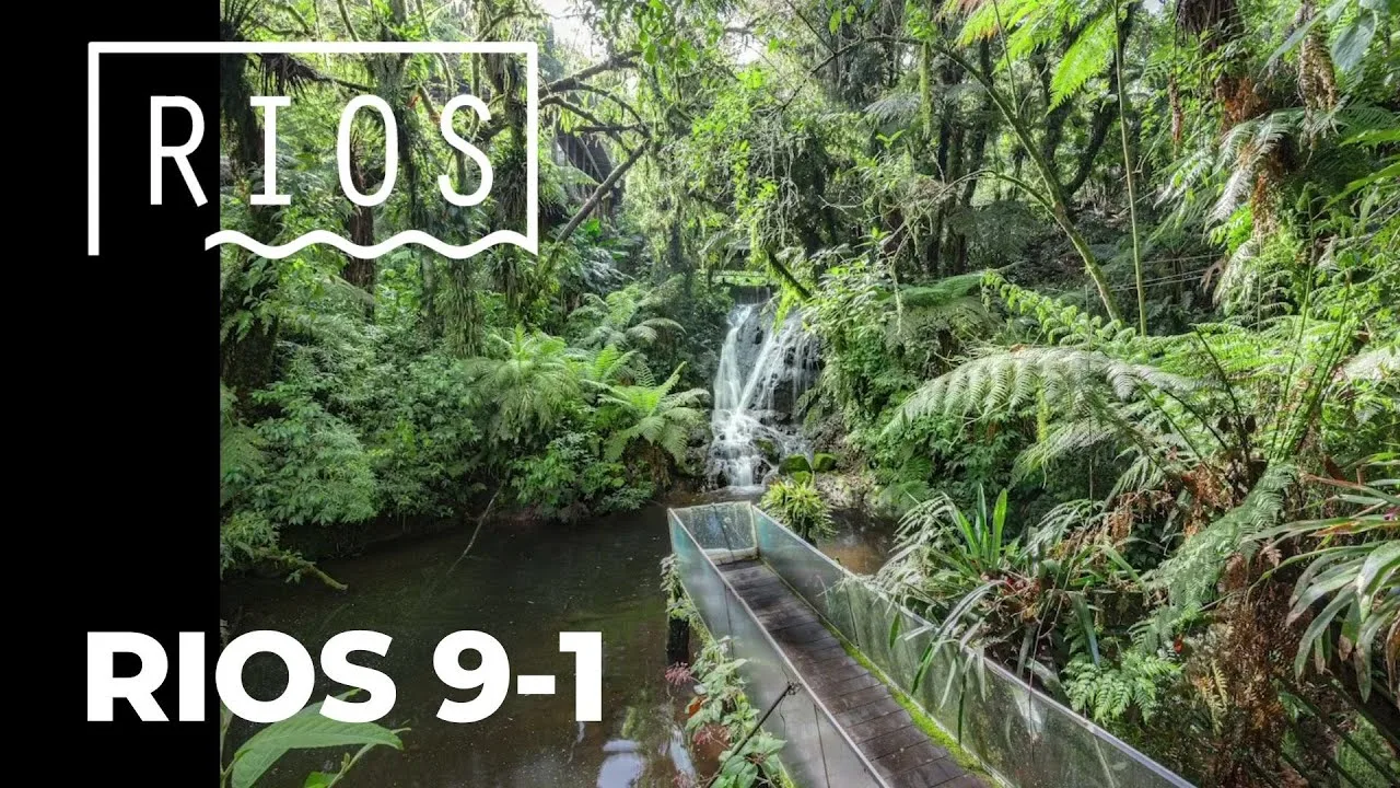 Especial Rios 9-1: Piraquara, local do Iraizinho um dos rios que formam o Rio Iguaçu