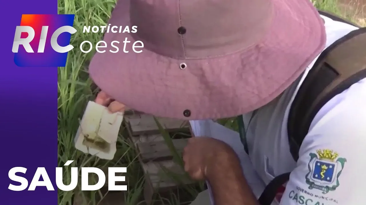 Em Cascavel, chegam a 80 o número de casos confirmados de Chikungunya e 36 de Dengue