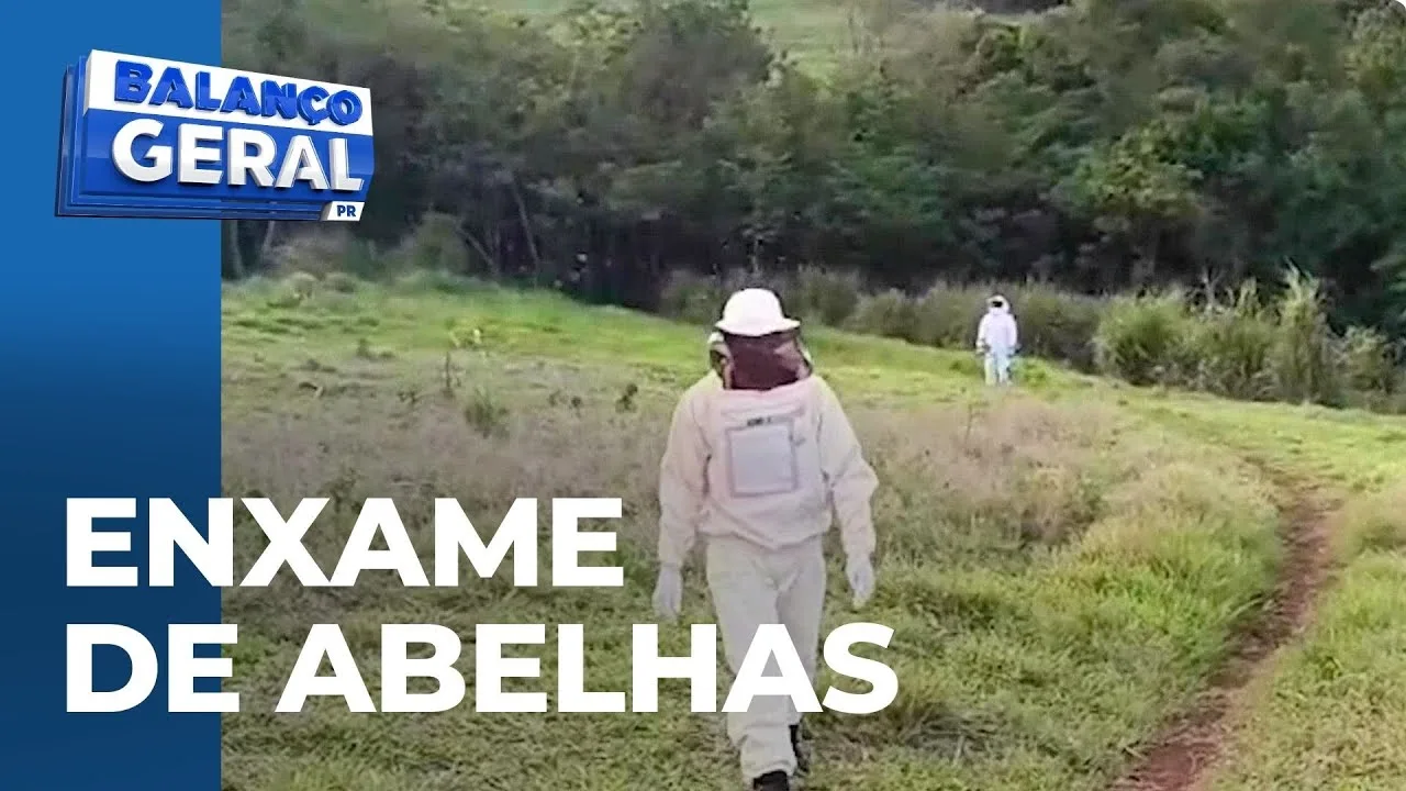 Trilheiros abandonam suas motos e fogem após ataque de enxame de abelhas