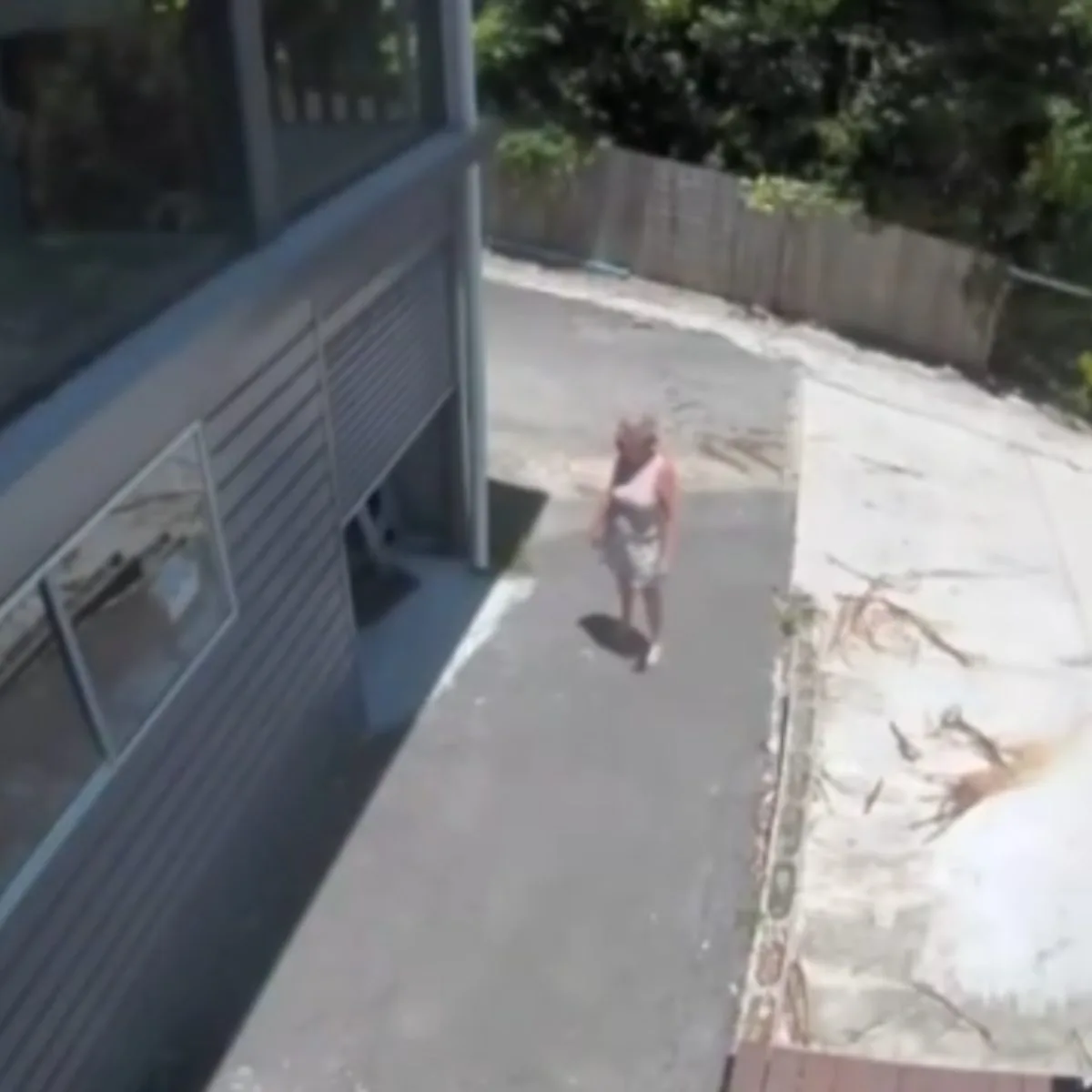 Mulher quase é atacada no rosto por cobra gigante ao entrar em garagem; vídeo