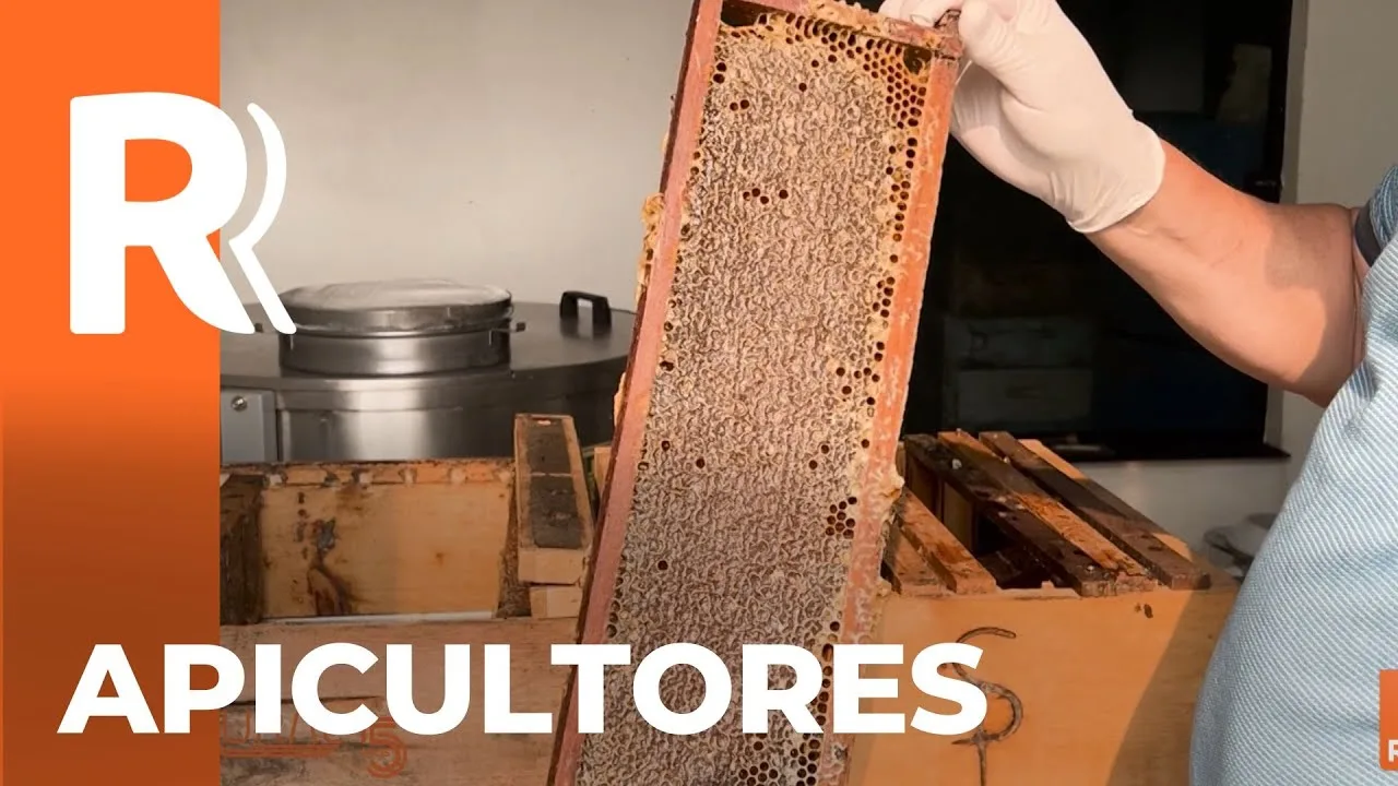 Encontro dos apicultores no sudoeste