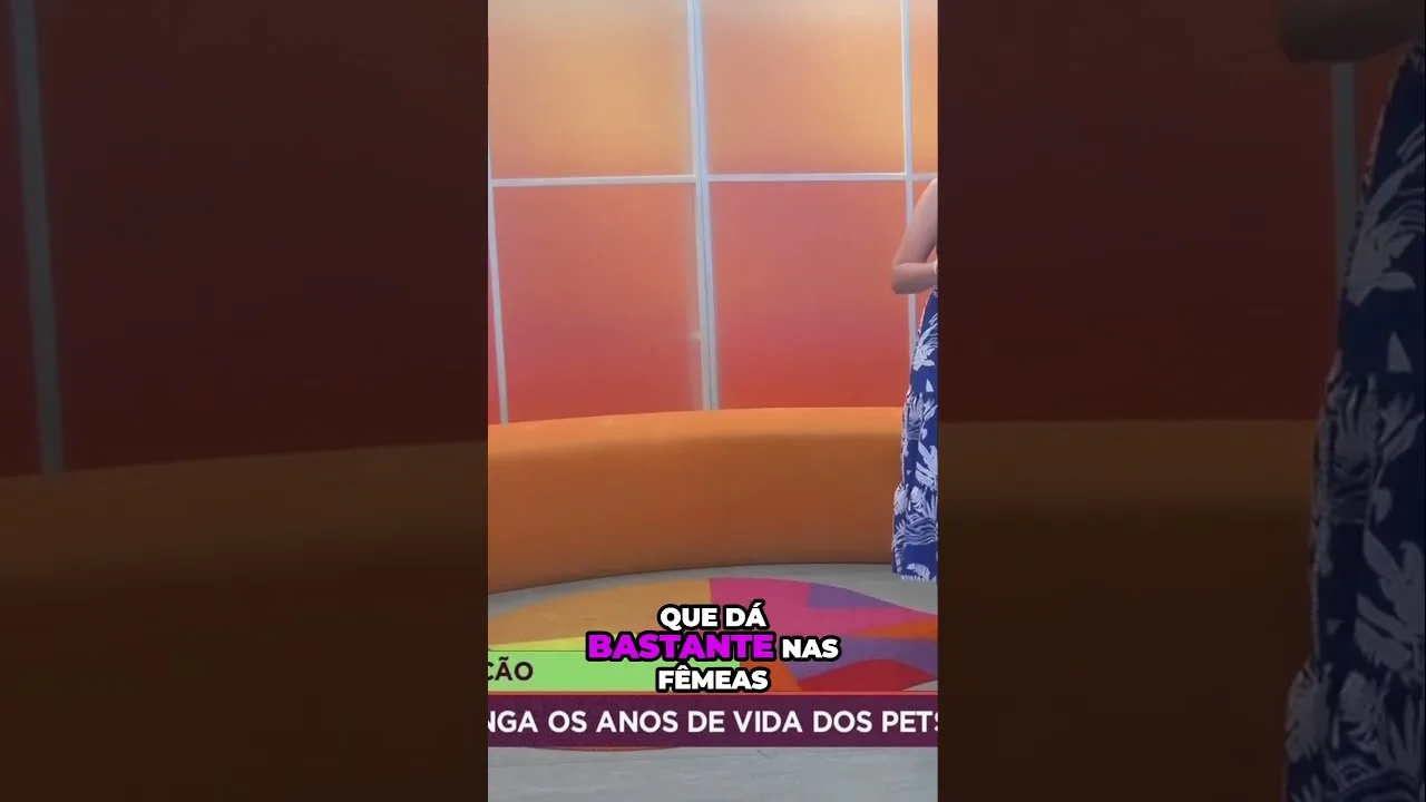 A castração pode prolongar a vida do seu pet; entenda como funciona o processo