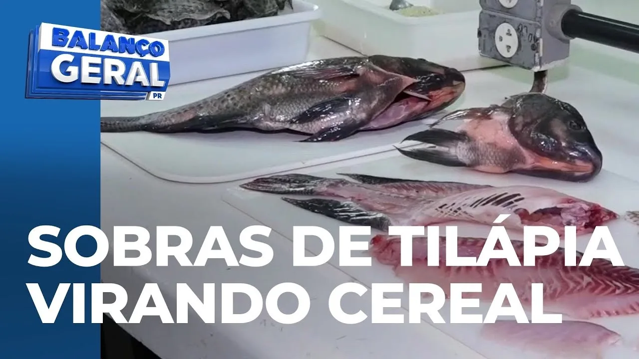 Pesquisador de Toledo transforma restos de tilápia em granola e barras de cereal