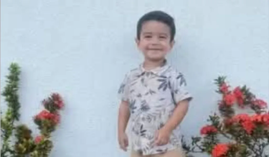 Criança de 2 anos morre após ser esquecida em carro por dona de creche