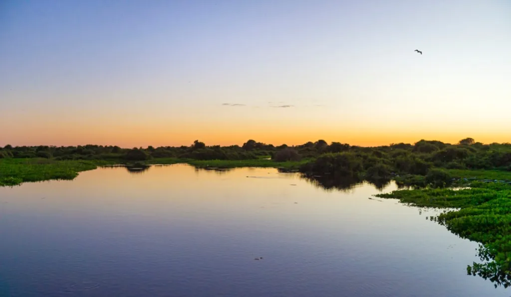 O debate entre desenvolvimento econômico e preservação ambiental no Brasil envolve questões como a exploração da Amazônia, energia limpa e acordos climáticos globais.
