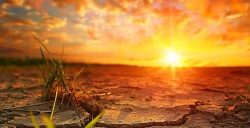 Janeiro foi o mais quente já registrado, mesmo com La Niña, dizem cientistas da UE