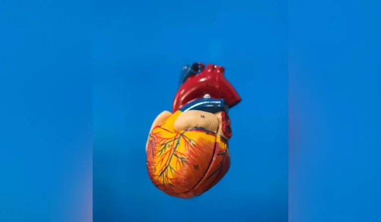 Jovem é torturado e come coração de homem morto; suspeitos são indiciados