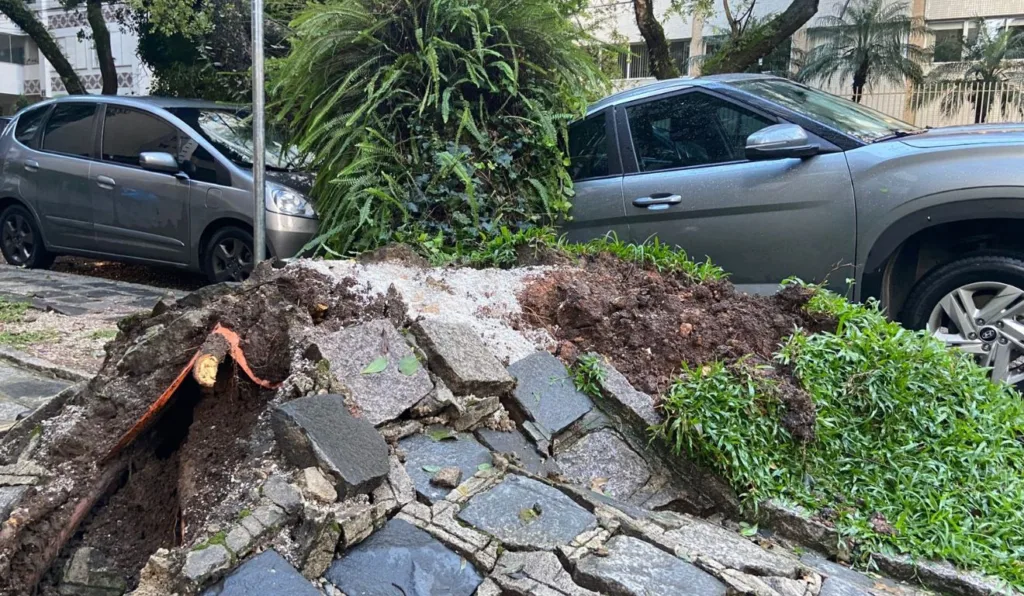 Curitiba registra 43 casos de queda de árvore durante forte chuva; veja fotos