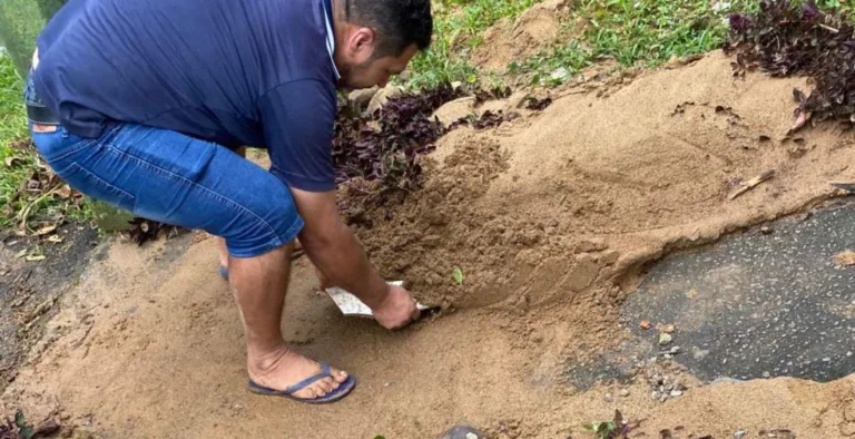 Chuvas deixam 40 pessoas desalojadas e causam enchentes em Morretes