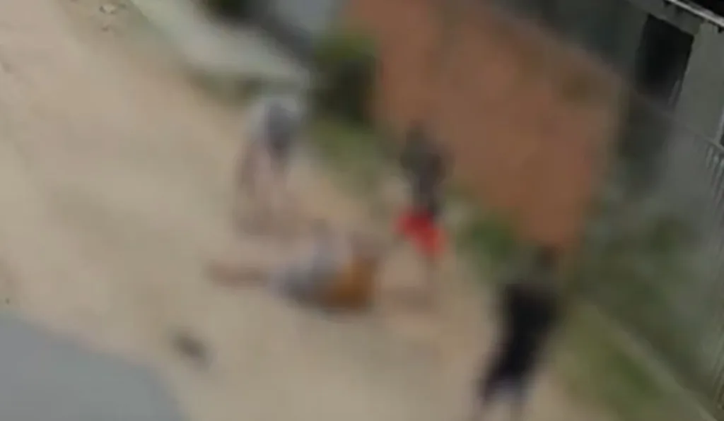 homem sendo espancado na rua