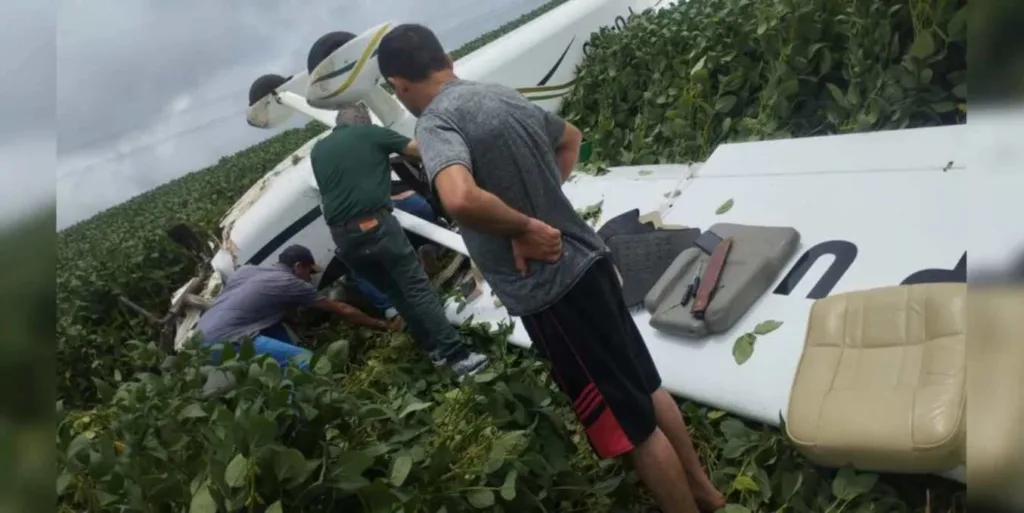 Avião de pequeno porte cai em plantação no Paraná; piloto era único ocupante